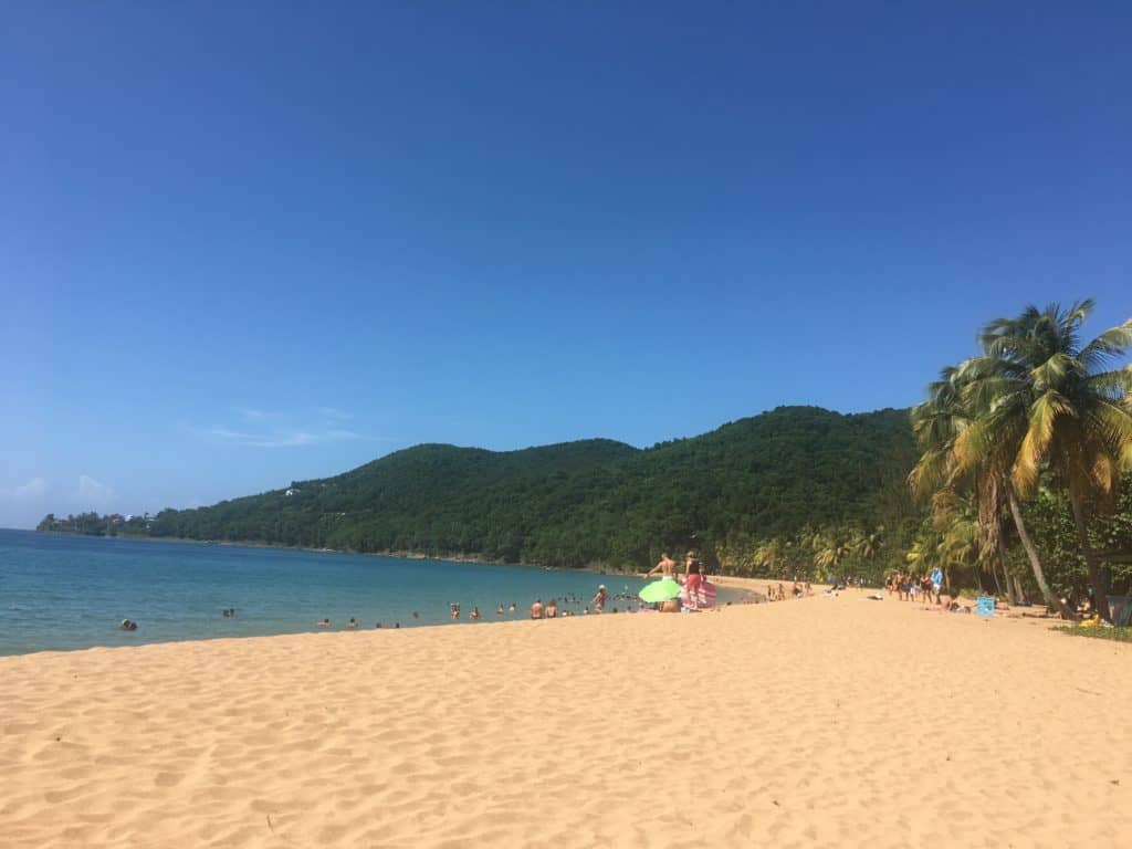 plage de Grande Anse Deshaies Guadeloupe