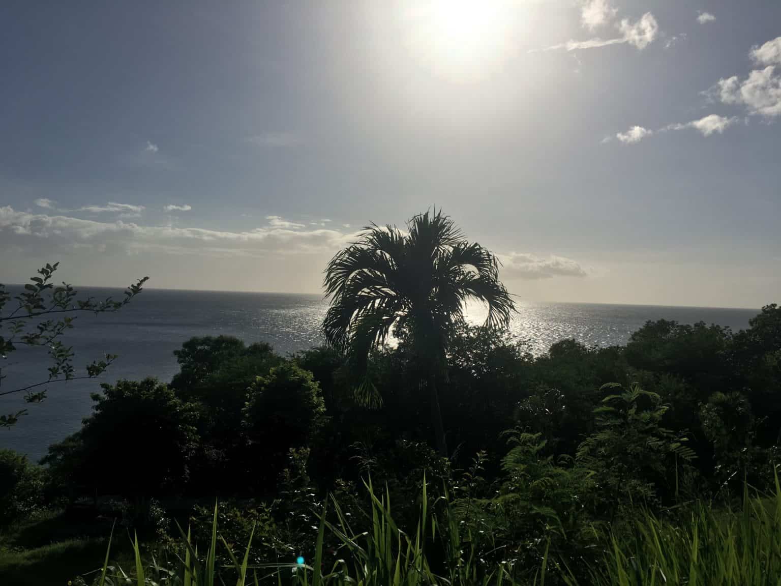 Que Faire à Deshaies et Bouillante en 2024 ? Top Activités