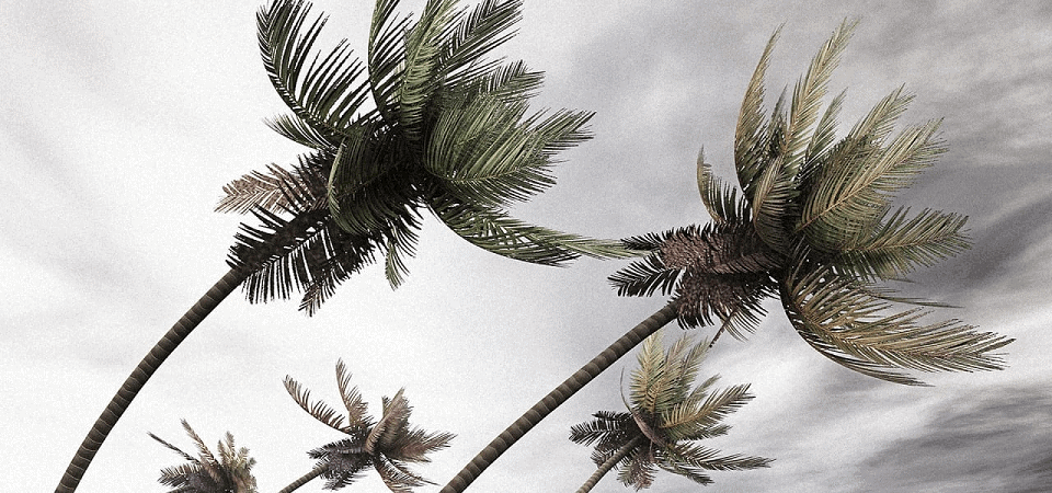 Quand est la saison des pluies en Guadeloupe ?