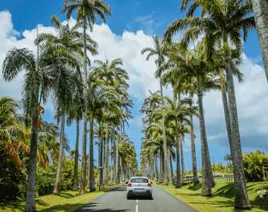 Comment sont les routes en Guadeloupe ?