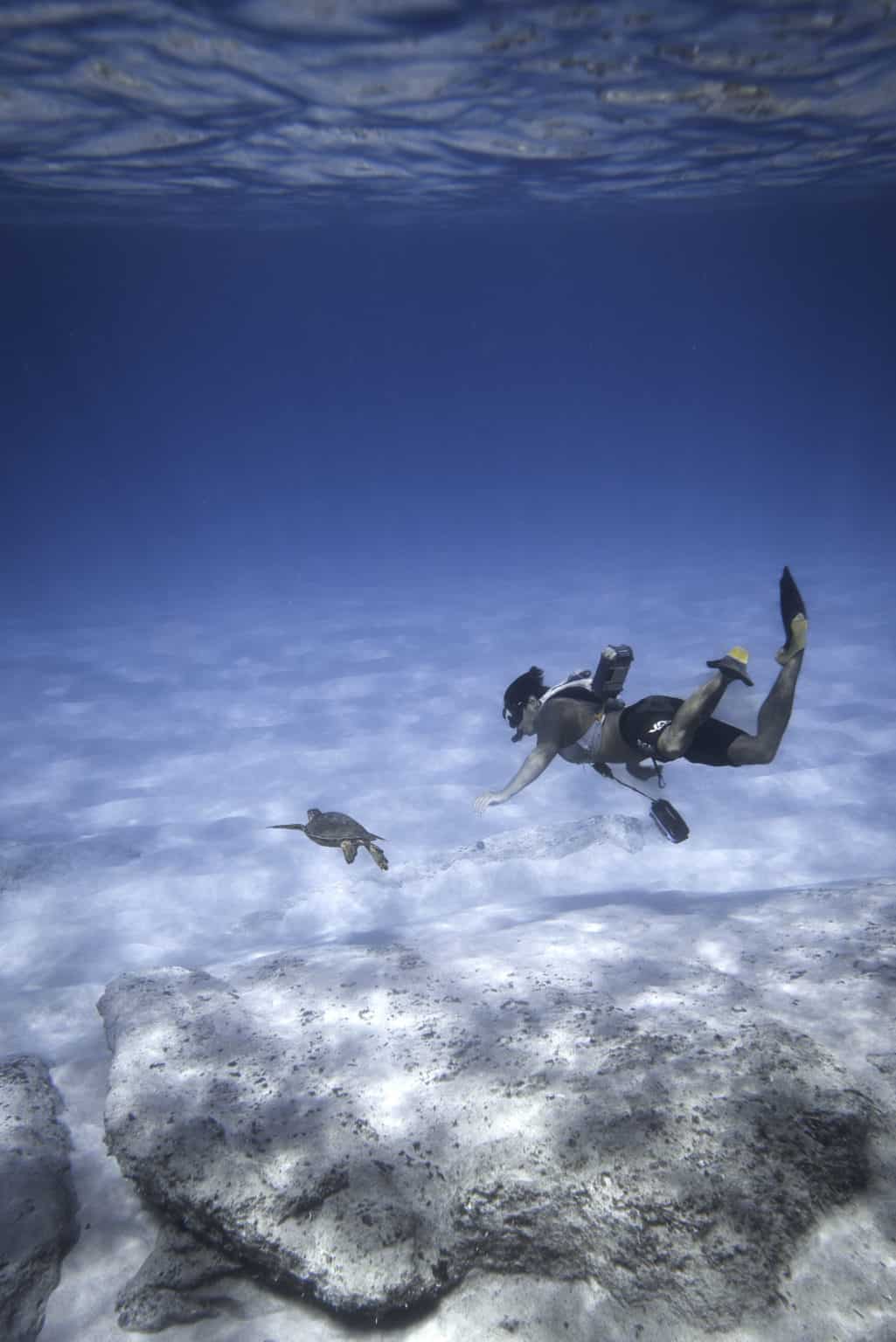 Snorkeling Guadeloupe 2024 : Top 8 Des Spots De L'Île